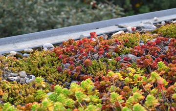 the cost of Grange Estate green roof installation